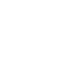 Firefox logo
